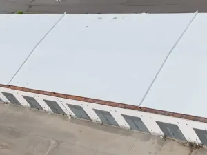 Prodej komerčního pozemku, Bělá pod Bezdězem, Vazačka, 5142 m2