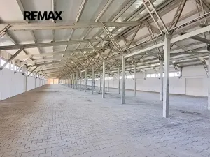 Pronájem skladu, Dolní Chvatliny, 3690 m2