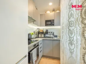 Prodej bytu 1+1, Slaný, Všehlušická, 26 m2