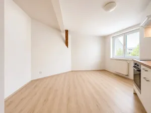 Pronájem bytu 1+kk, Brno, Kounicova, 26 m2