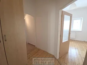 Prodej bytu 4+1, Opava - Předměstí, Na Nivě, 197 m2