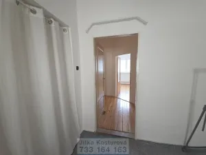 Prodej bytu 4+1, Opava - Předměstí, Na Nivě, 197 m2
