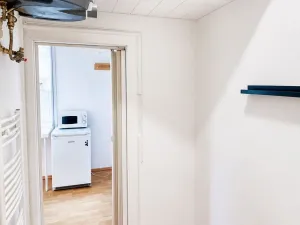 Prodej bytu 1+kk, Praha - Nusle, Soudní, 30 m2