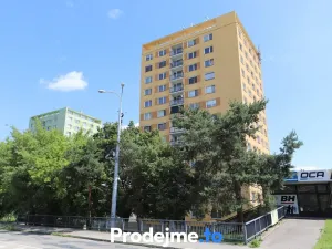 Pronájem bytu 1+1, Brno, Palackého třída, 33 m2