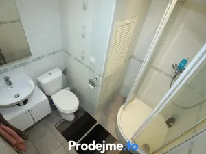 Pronájem bytu 1+1, Brno, Palackého třída, 33 m2