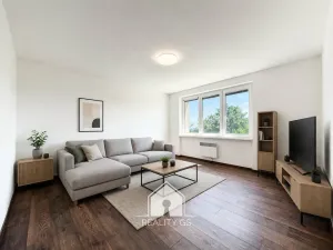 Prodej bytu 1+1, Tisá, 30 m2