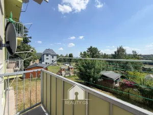 Prodej bytu 1+1, Tisá, 30 m2