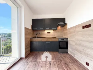 Prodej bytu 1+1, Tisá, 30 m2