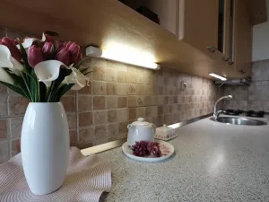 Pronájem bytu 2+1, Uherský Brod, Luhanova, 63 m2