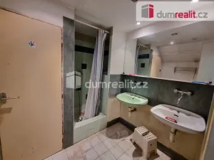 Pronájem výrobních prostor, Odolena Voda, Velkoveská, 278 m2