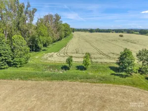 Prodej rybníku, Černožice, 528 m2