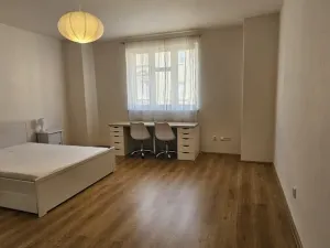 Pronájem bytu 1+kk, Plzeň - Východní Předměstí, Sladkovského, 36 m2