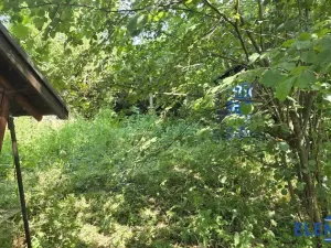 Prodej zahrady, Bělá pod Pradědem - Adolfovice, 950 m2
