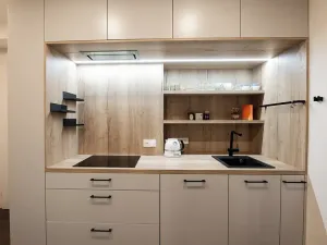 Prodej bytu 2+kk, Praha - Vinohrady, Slavíkova, 54 m2