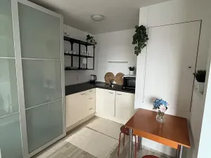 Pronájem bytu 1+kk, Praha - Libeň, Nad Mazankou, 35 m2
