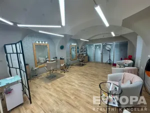Pronájem obchodního prostoru, Plzeň - Vnitřní Město, Prešovská, 155 m2