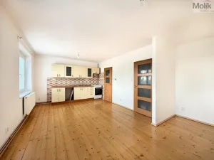 Pronájem bytu 1+kk, Litvínov - Horní Litvínov, Podkrušnohorská, 33 m2