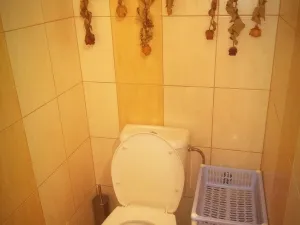 Pronájem bytu 1+kk, Plzeň - Jižní Předměstí, Máchova, 36 m2