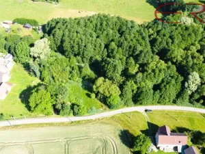 Prodej pozemku pro bydlení, Pertoltice - Horní Pertoltice, 3264 m2