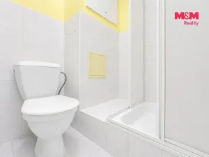 Pronájem bytu 1+kk, Plzeň - Doubravka, Popelnicová, 20 m2