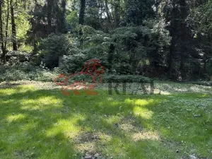 Prodej chaty, Jesenice - Osnice, 30 m2