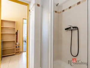Prodej bytu 3+kk, Plzeň - Jižní Předměstí, Vrchlického, 76 m2