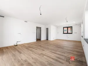 Prodej rodinného domu, Starý Plzenec, Bezručova, 146 m2