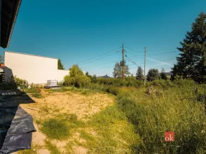 Prodej rodinného domu, Starý Plzenec, Bezručova, 146 m2