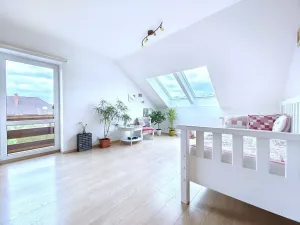 Prodej rodinného domu, Nový Vestec, U Tří Cest, 224 m2