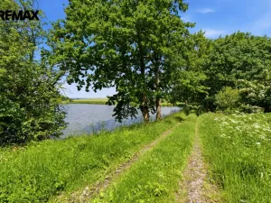 Prodej rybníku, Starosedlský Hrádek, 51034 m2
