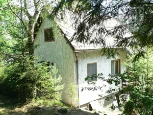 Prodej chaty, Kocelovice, 90 m2
