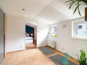Prodej atypického bytu, Trhové Sviny, Nové město, 210 m2