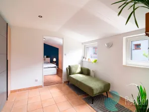 Prodej atypického bytu, Trhové Sviny, Nové město, 210 m2