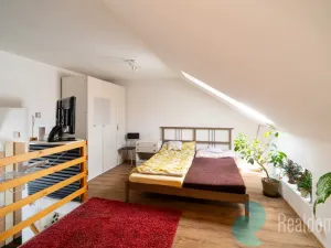 Prodej atypického bytu, Trhové Sviny, Nové město, 210 m2