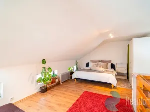 Prodej atypického bytu, Trhové Sviny, Nové město, 210 m2