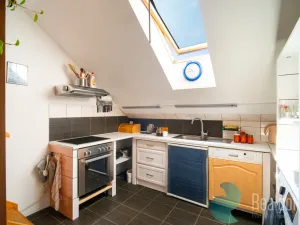 Prodej atypického bytu, Trhové Sviny, Nové město, 210 m2