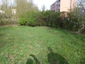 Pronájem zahrady, Kamenický Šenov, Nová huť, 5630 m2