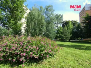 Pronájem bytu 1+kk, Ostrava - Moravská Ostrava, Petra Křičky, 30 m2