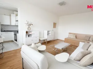 Prodej bytu 1+kk, Prostějov - Vrahovice, sídl. Svornosti, 30 m2