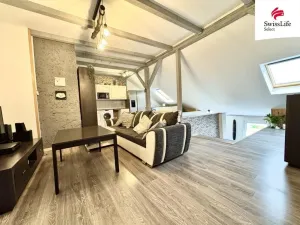 Prodej vícegeneračního domu, Teplice, Štúrova, 304 m2