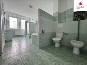 Prodej vícegeneračního domu, Teplice, Štúrova, 304 m2