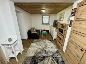 Prodej chaty, Litvínov - Janov, 35 m2