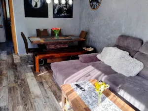 Prodej vícegeneračního domu, Velká Bíteš - Janovice, Malá Strana, 324 m2
