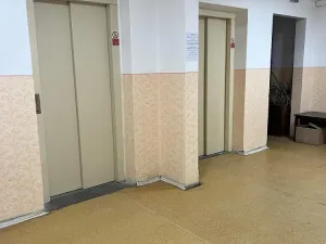 Prodej bytu 1+kk, Ostrava - Zábřeh, Petruškova, 28 m2