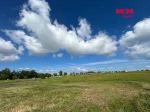 Prodej pozemku pro bydlení, Větřkovice, 4806 m2