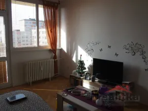 Pronájem bytu 1+1, Opava - Kateřinky, Holasická, 37 m2