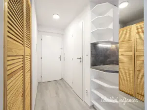 Pronájem bytu 2+kk, Praha - Žižkov, Chelčického, 45 m2