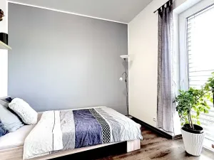 Pronájem rodinného domu, Prostějov, Žitná, 180 m2