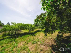 Prodej zemědělské usedlosti, Bělčice, 290 m2