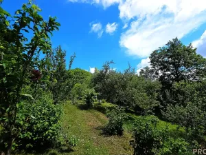Prodej pozemku pro bydlení, Osvětimany, 25 m2